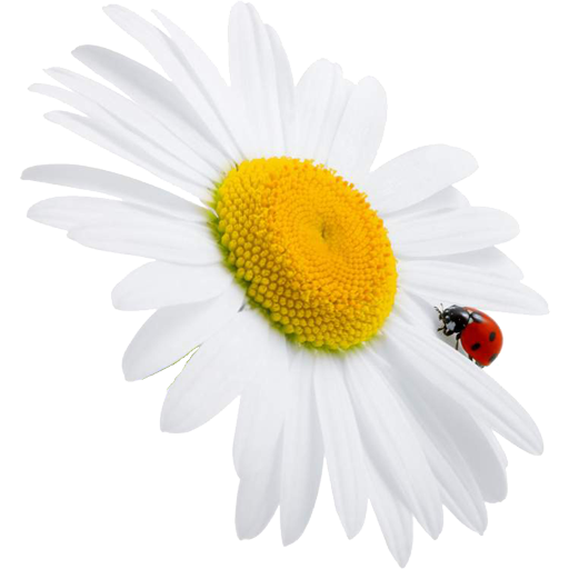 Physiotherapie Ines Oehlke-Krüger